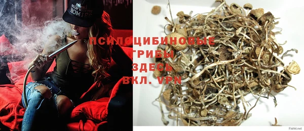 a pvp Дмитриев