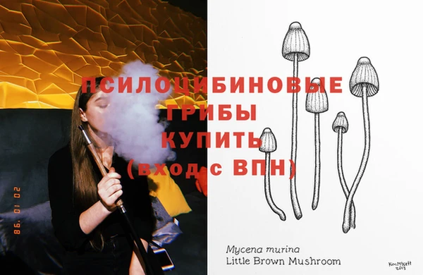Альфа ПВП Дмитров